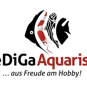 Sale Pflanzen Volldünger "TopGrow" von WeDiGa, 250ml